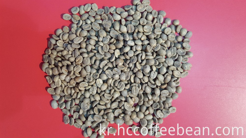 중국 원시 녹색 커피 콩, 100 % 아라비카 유형, 화면 15-16, 커피 공장